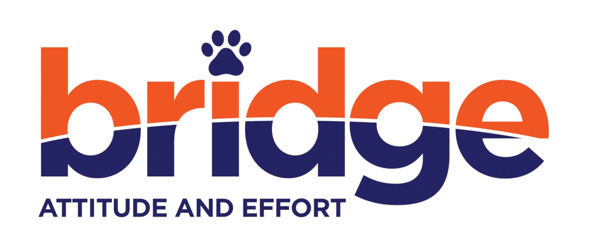 BRIDGE-LOGO-FINAL