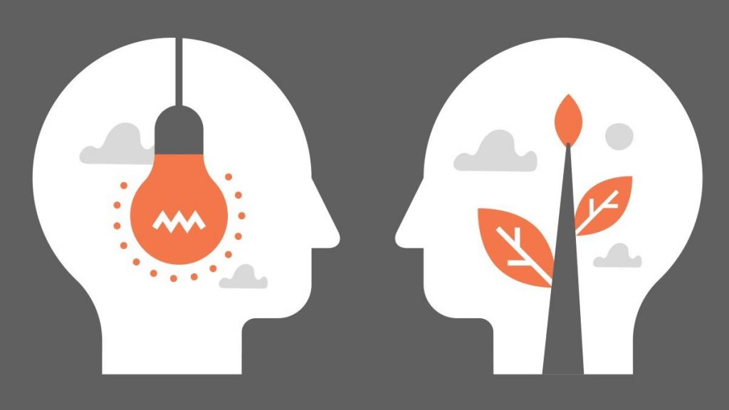 Connection and Mentoring